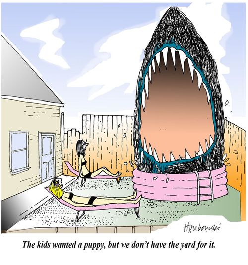 The kids wanted a puppy, but we don't have the yard for it.