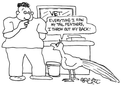 Everytime I fan my tail feathers, I throw out my back.