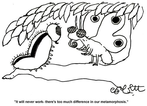 'It will never work  - there's too much difference in our metamorphosis.'