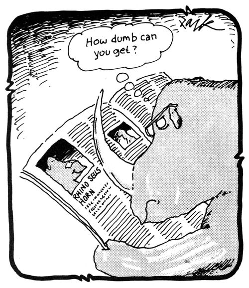 'How dumb can you get?'