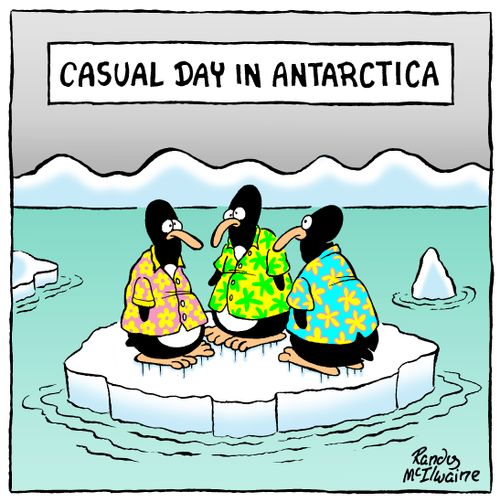 Casual day in Antarctica.