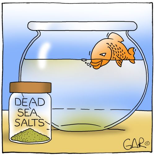 Dead Sea Salts in goldfish bowl.