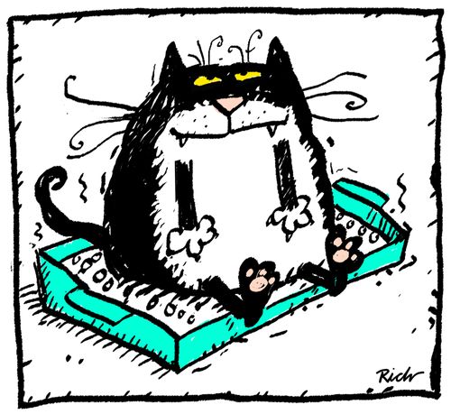Litter tray cat.