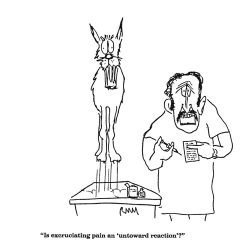 'Is excruciating pain an 'untoward reaction'?'