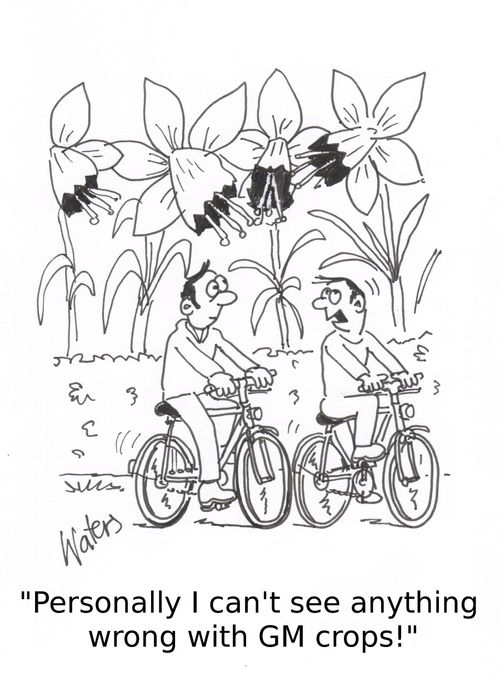 'Personally I can't see anything wrong with GM crops!'