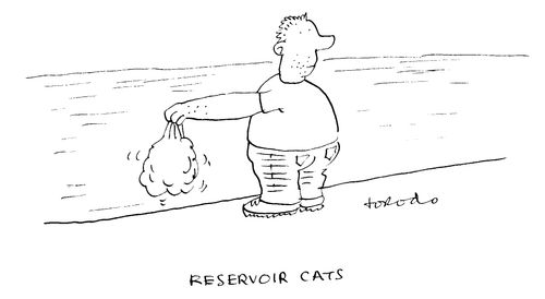 Reservoir Cats.