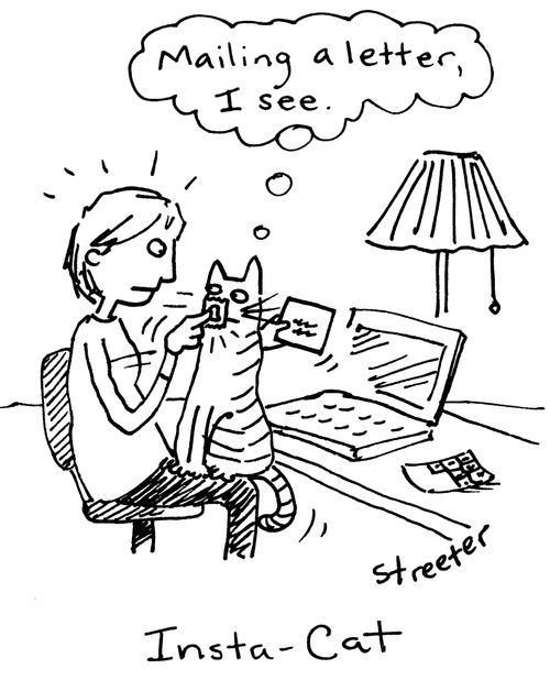 Insta-Cat - Mailing a letter, I see.