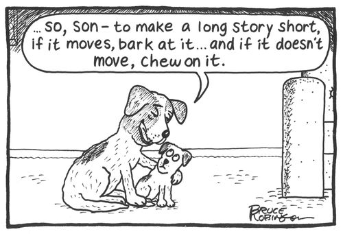 'So son - to make a long story short, if it moves, bark at it. . . and if it doesn't move, chew on it.' 