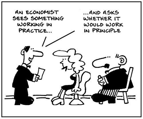 'An economist sees something working in practice and asks whether it would work in principle.'