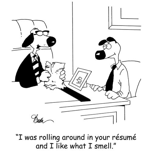'I was rolling around in your résumé and I like what I smell.'