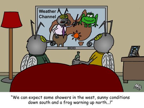 'We can expect some showers in the west, sunny conditions in the south and a frog warning up north...!'