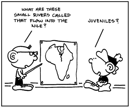 'What are these small rivers called that flow into the Nile?'