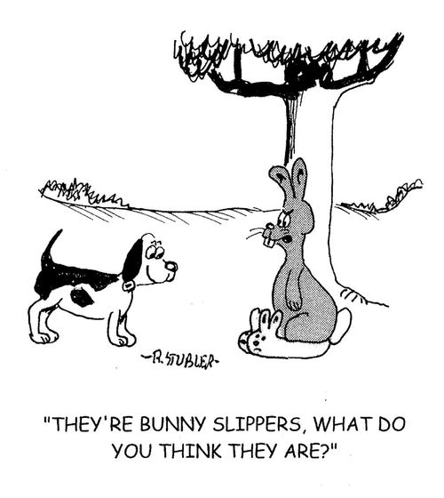 'They're bunny slippers,what do you think they are?'