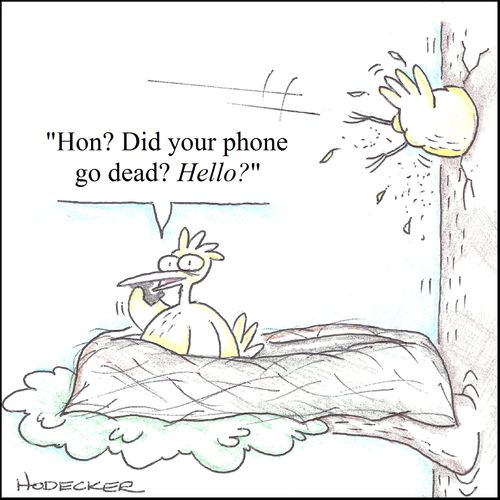 'Hon? Did your phone go dead? Hello?'
