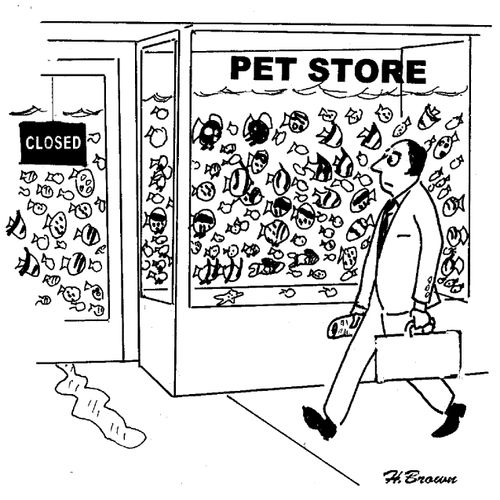 Pet Shop Aquarium.