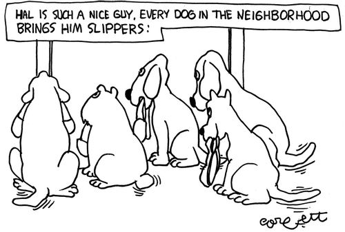 Hal is such a nice guy, every dog in the neighborhood brings him slippers.