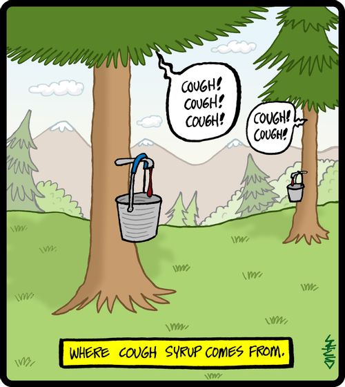 Where cough syrup comes from.