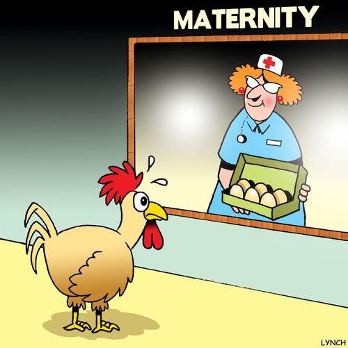 Nervous Chicken in the maternity ward.