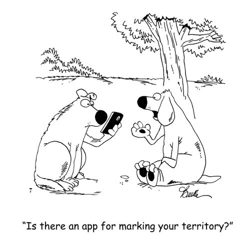 'Is there an app for marking your territory?'
