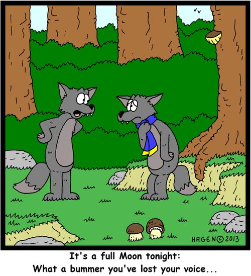 'It's a full Moon tonight: What a bummer you've lost your voice...'