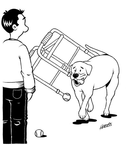 Fetch the Walker