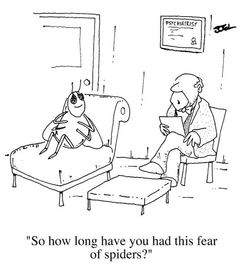 So how long have you had this fear of spiders ?