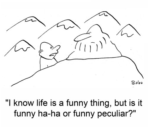 'I know life is a funny thing, but is it funny ha-ha or funny peculiar?'