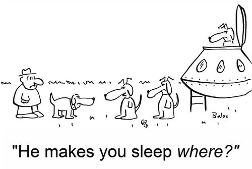 'He makes you sleep where?'