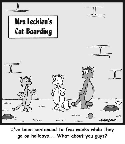 'I've been sentenced to five weeks while they go on holidays... What about you guys?'
