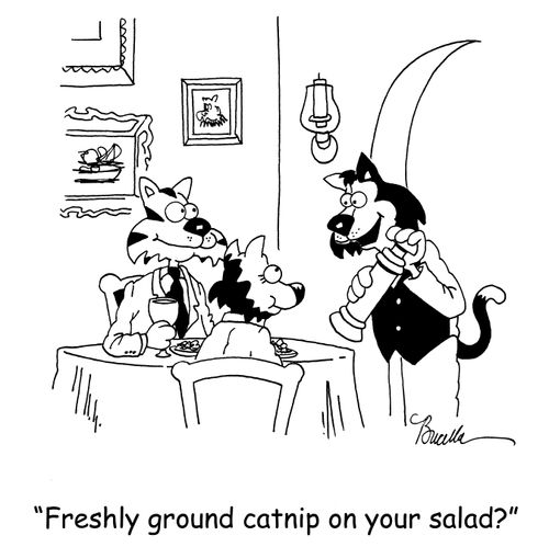 'Freshly ground catnip on your salad?'