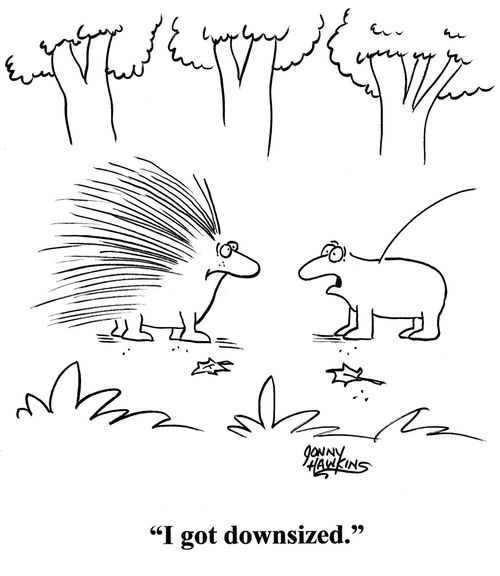 Porcupine with one quill to other: 'I got downsized.'