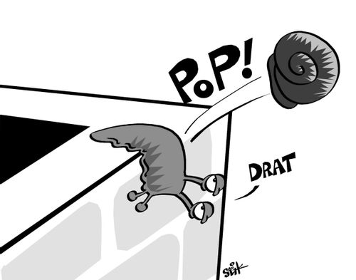 Snail to Slug.