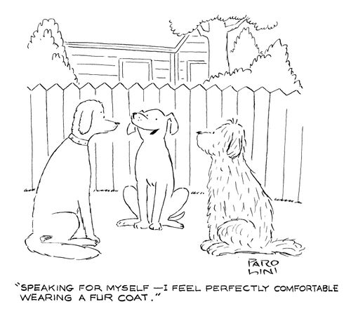 'Speaking for myself - I feel perfectly comfortable wearing a fur coat.'