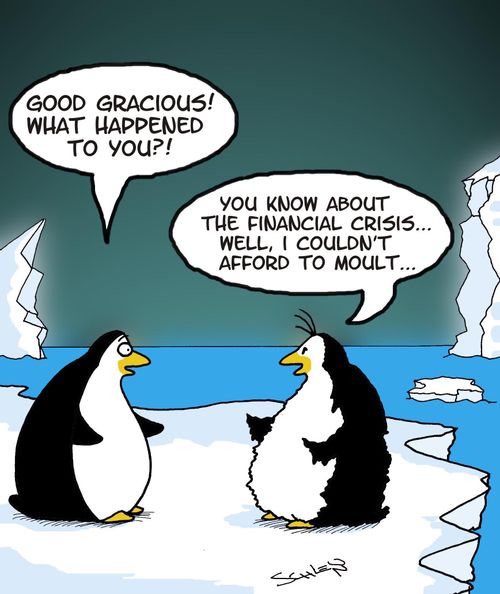'You know about the financial crisis... well, I couldn't afford to moult...'