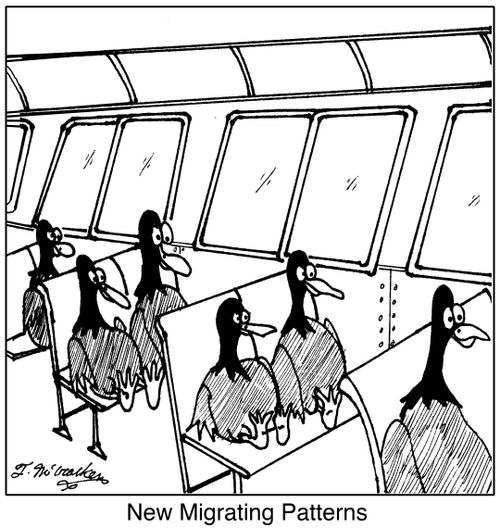 New Migrating Patterns