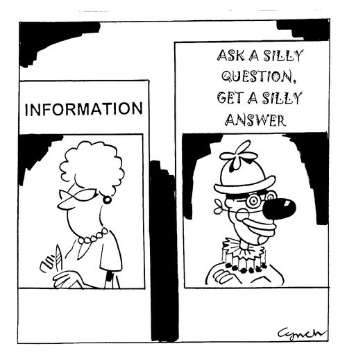 Ask a Silly Question, Get A Silly Answer