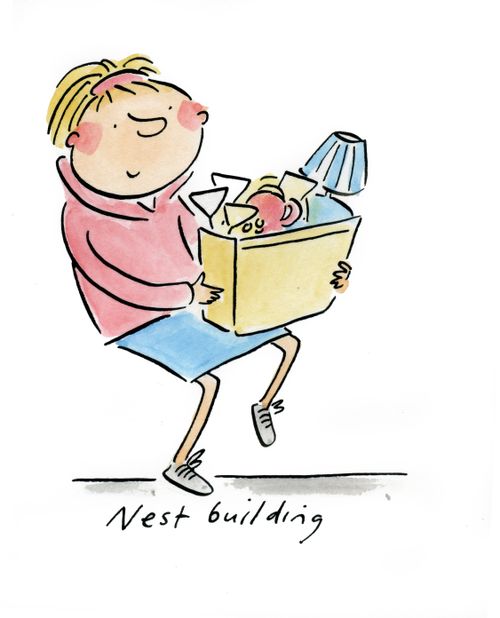 Nest building