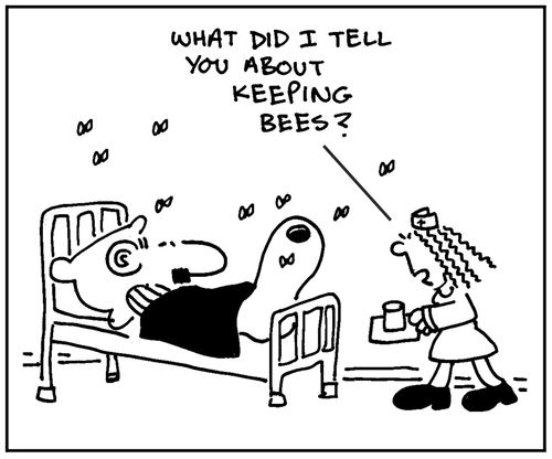 'What did I tell you about keeping bees?'