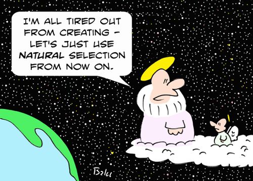'I'm all tired out from creating - let's just use NATURAL selection from now on.'