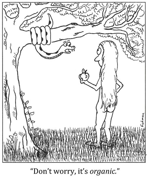 'Don't worry, it's organic.'