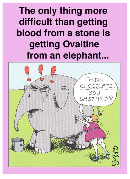 The only thing more difficult than getting blood from a stone is getting Ovaltine from an elephant...