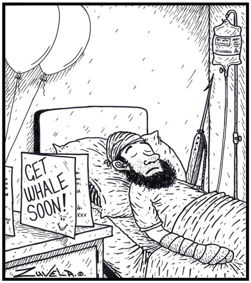 Get Whale Soon!
