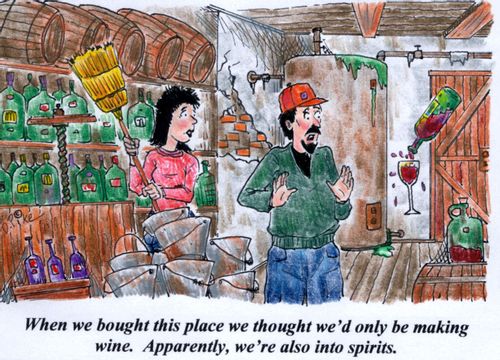 'When we bought this place we thought we'd only be making wine. Apparently, we're also into spirits.'