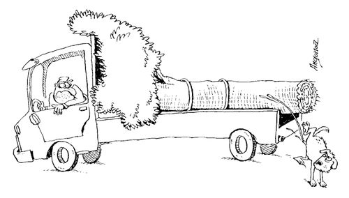 Dog urinating on tree on the back of a lorry