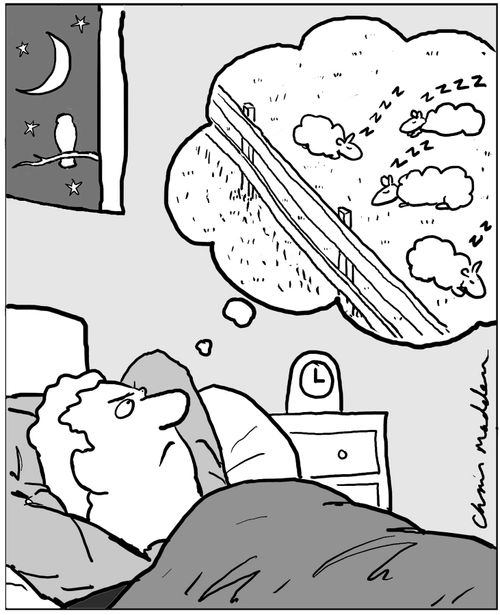 Insomniac counting sheep