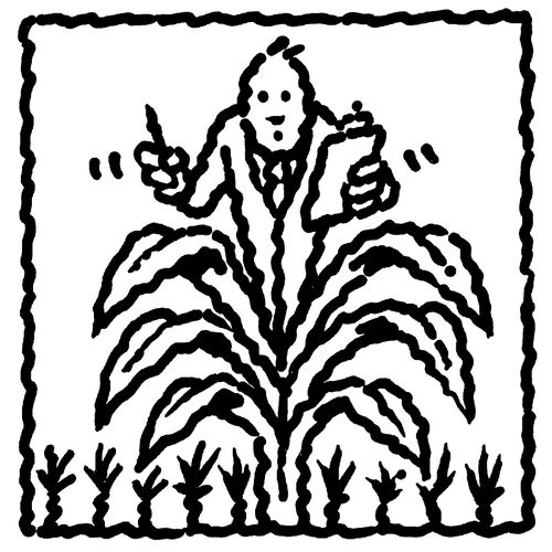 Reporter #2: plant.