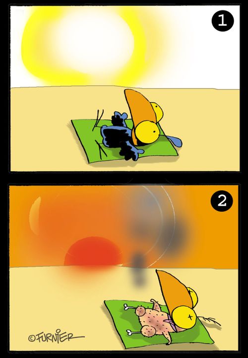 Sunburned bird.
