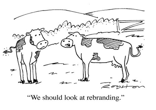 One cow to another: 'We should look at rebranding.'