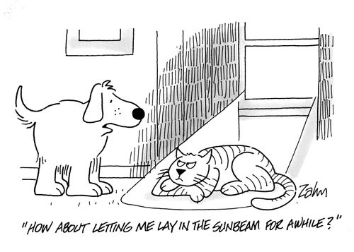 'How about letting me lay in the sunbeam for a while?'