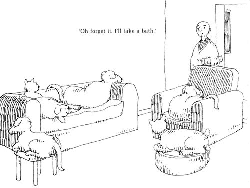 'Oh forget it, I'll take a bath.'